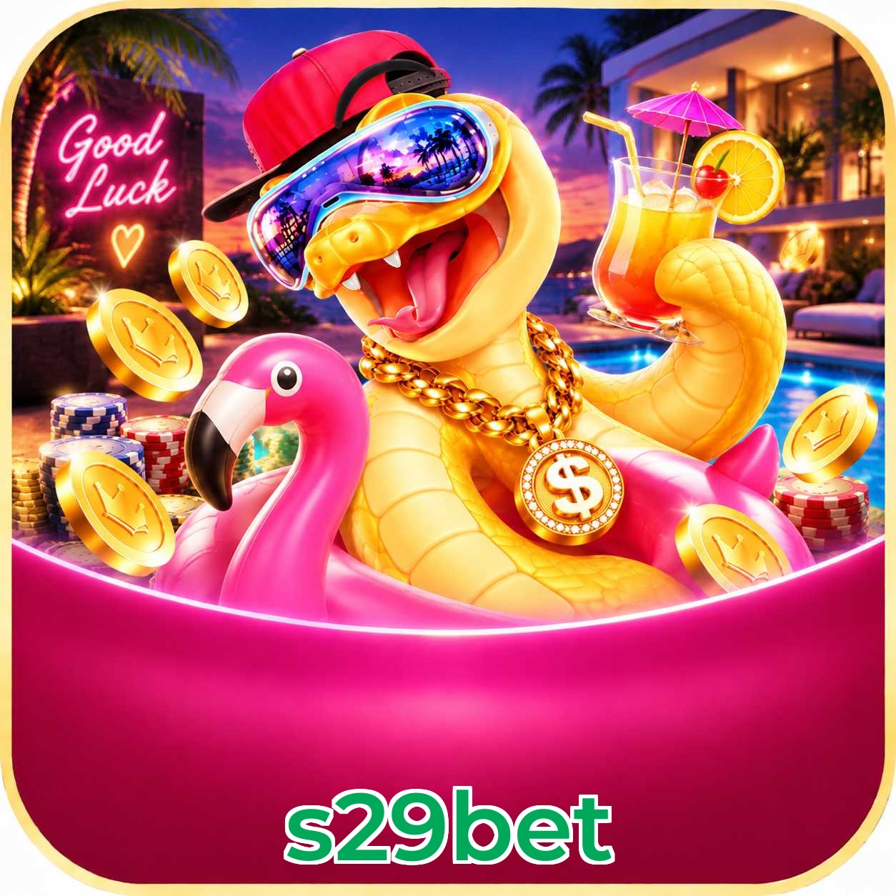 s29bet App vs Web